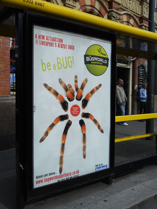 Transport Media - Bug World - Interactive Bus Shelter