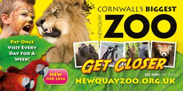 Newquay Zoo Static Trailer Avertising Campaign